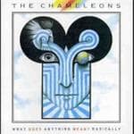 The Chameleons - What Does Anything