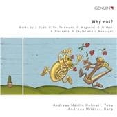 Andreas Hofmeir, Andreas Mildner - Why Not? (CD)