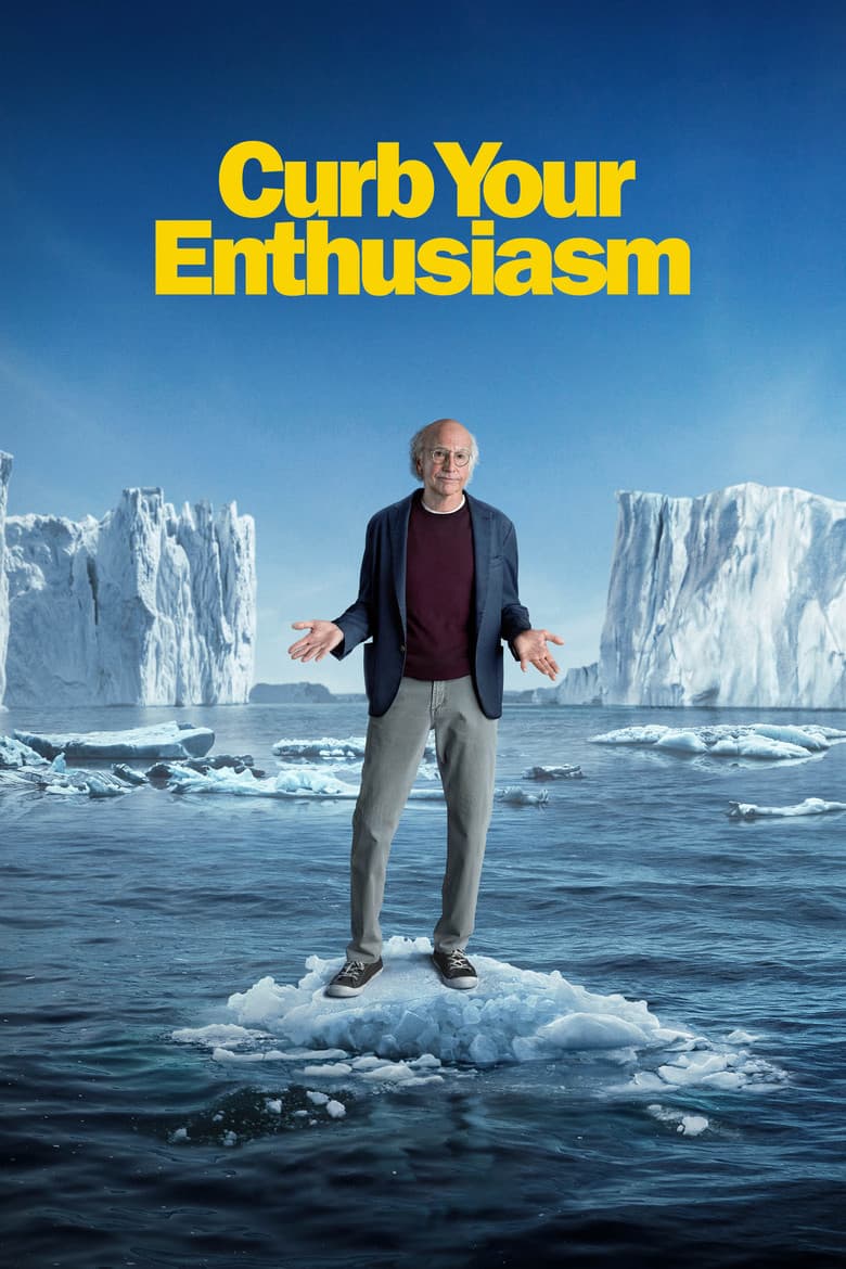 Curb your enthusiasm - Seizoen 4 (DVD)