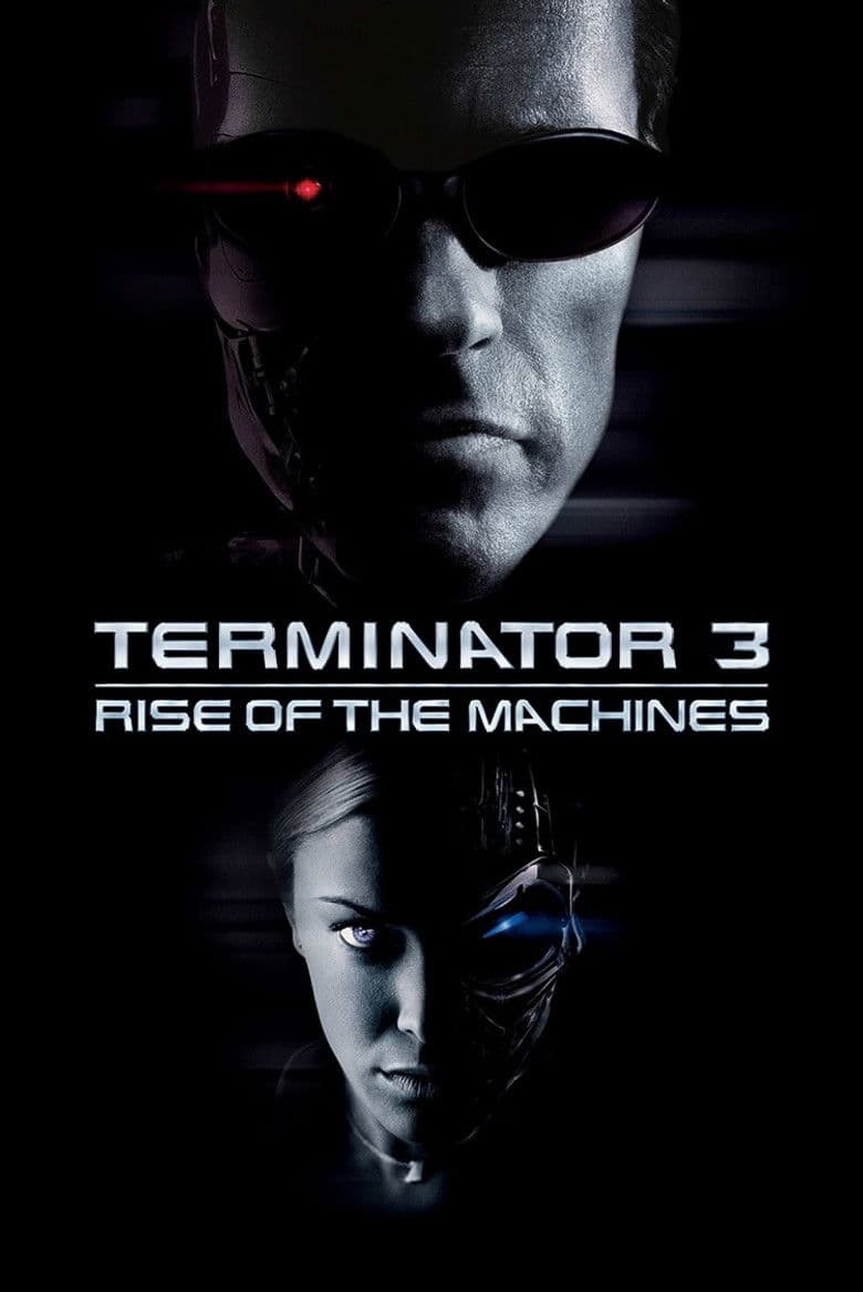 Terminator 3 (DVD)