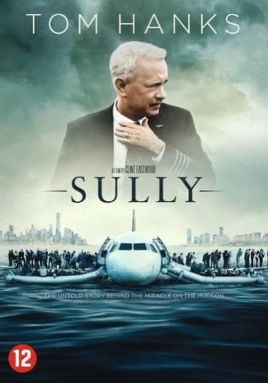 Sully (DVD)