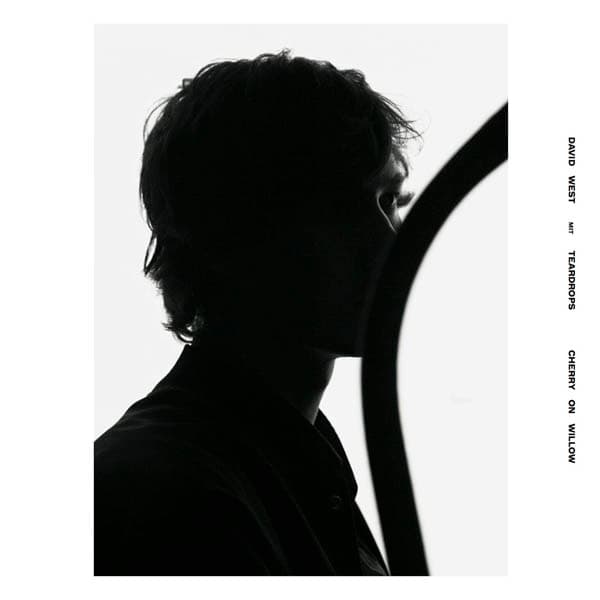 David West & Teardrops - Cherry On Willow (LP) (Coloured Vinyl) (Limited Edition)
