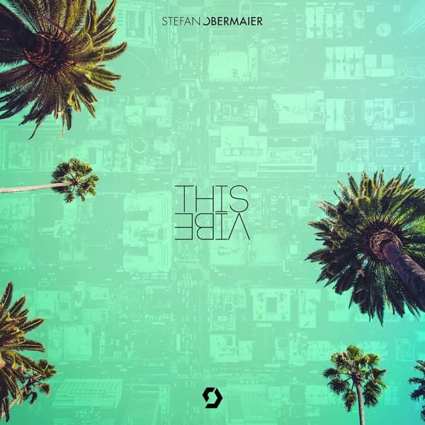 Stefan Obermaier - This Vibe (2 LP)