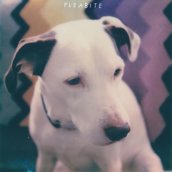 Fleabite - Nvm (LP)