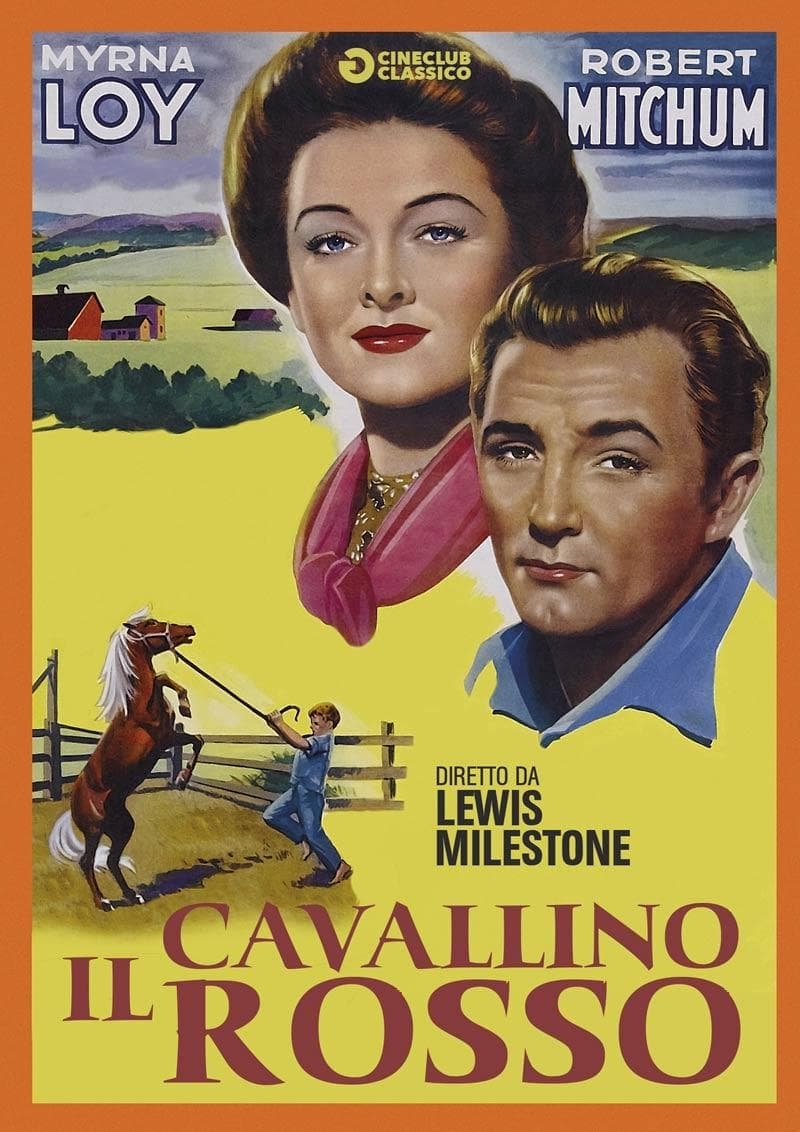 Cavallino Rosso (il) (Import)