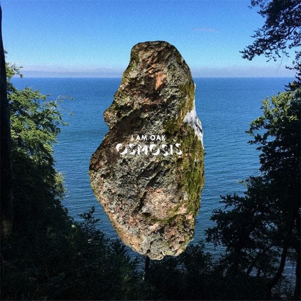 I Am Oak - Osmosis (LP)