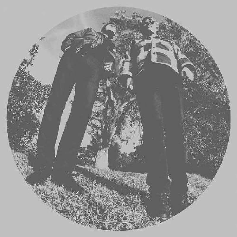 Ty Segall And White Fence - Hair (CD)