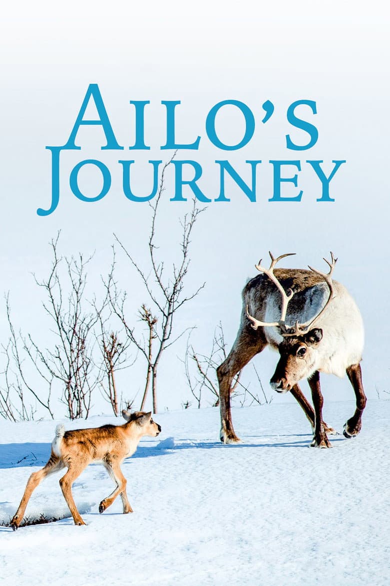 Ailo - Het Dappere Rendier (DVD)