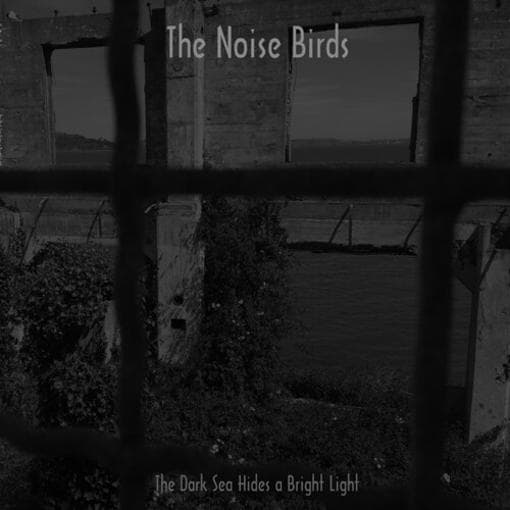 Noise Birds - The Dark Sea Hides A Bright Light (LP)