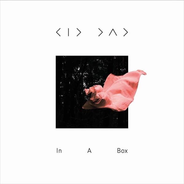 Kid Dad - In A Box (LP)