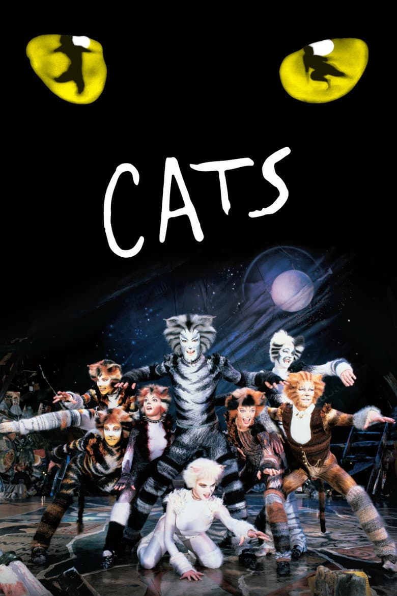Cats (Import)