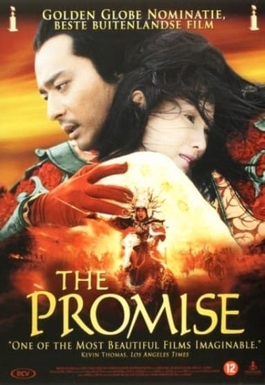 Promise (DVD)