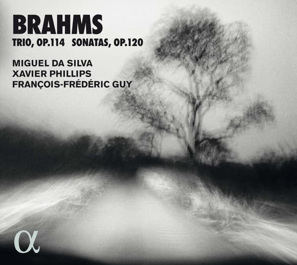Miguel Da Silva, Xavier Phillips, François-Frédéric Guy - Brahms: Trio Op.114 | Sonatas Op.120 (CD)