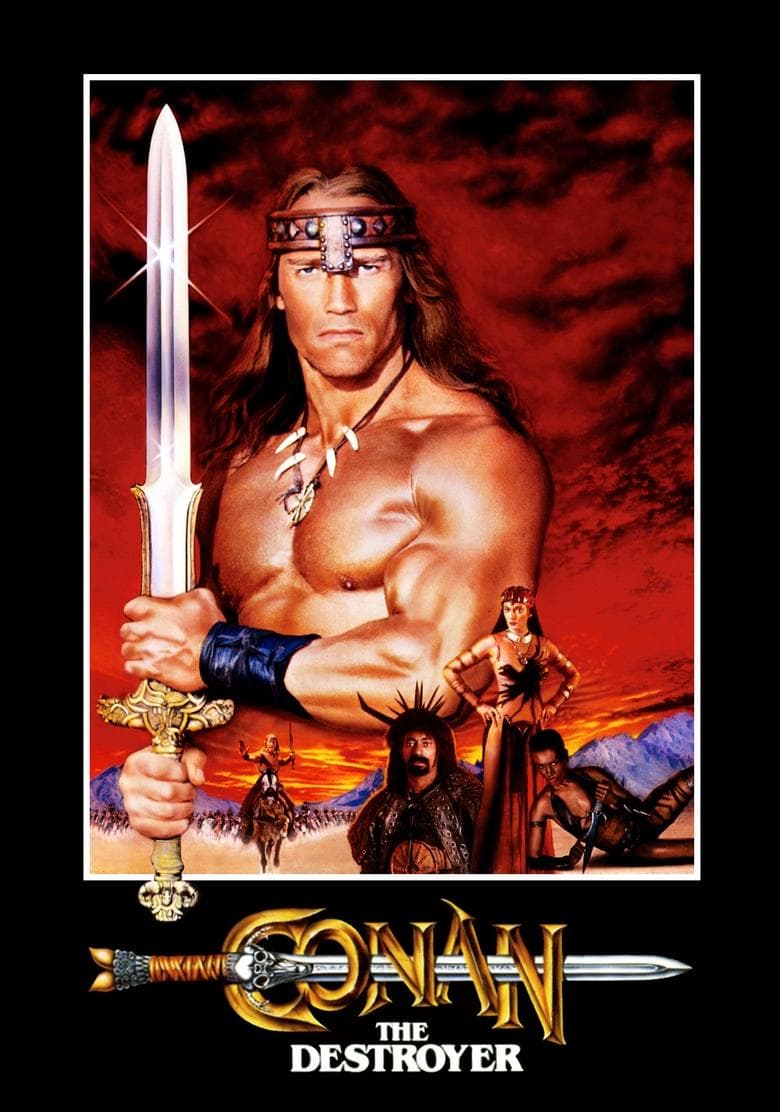 Conan The destroyer (DVD)