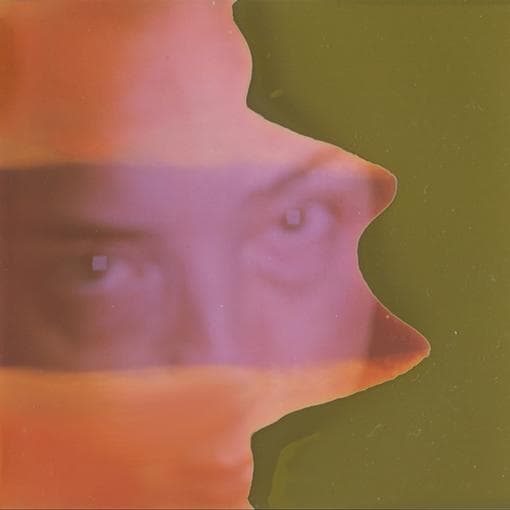 Grouper - Shade (LP)