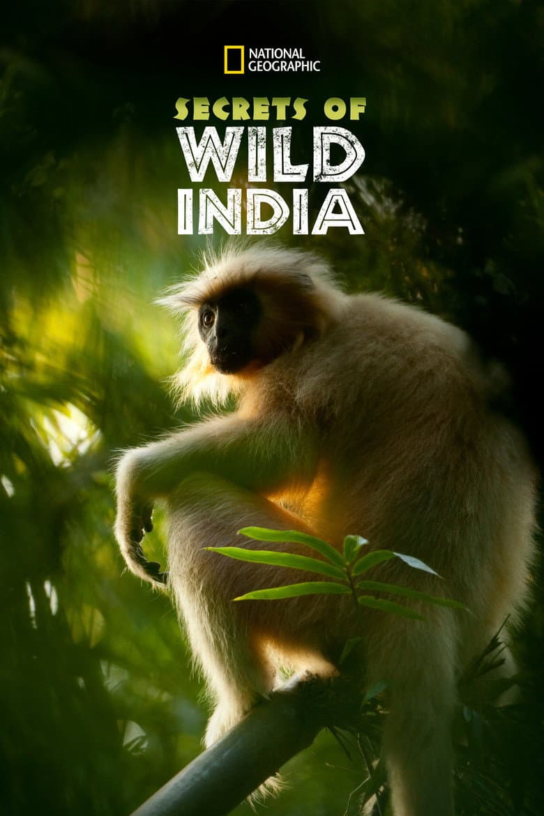 National Geographic - Secrets Of Wild India (Blu-ray)