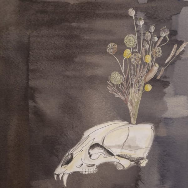 Steve Gunn & Black Twig Pickers - Seasonal Hire (LP) (Coloured Vinyl) (Limited Edition)