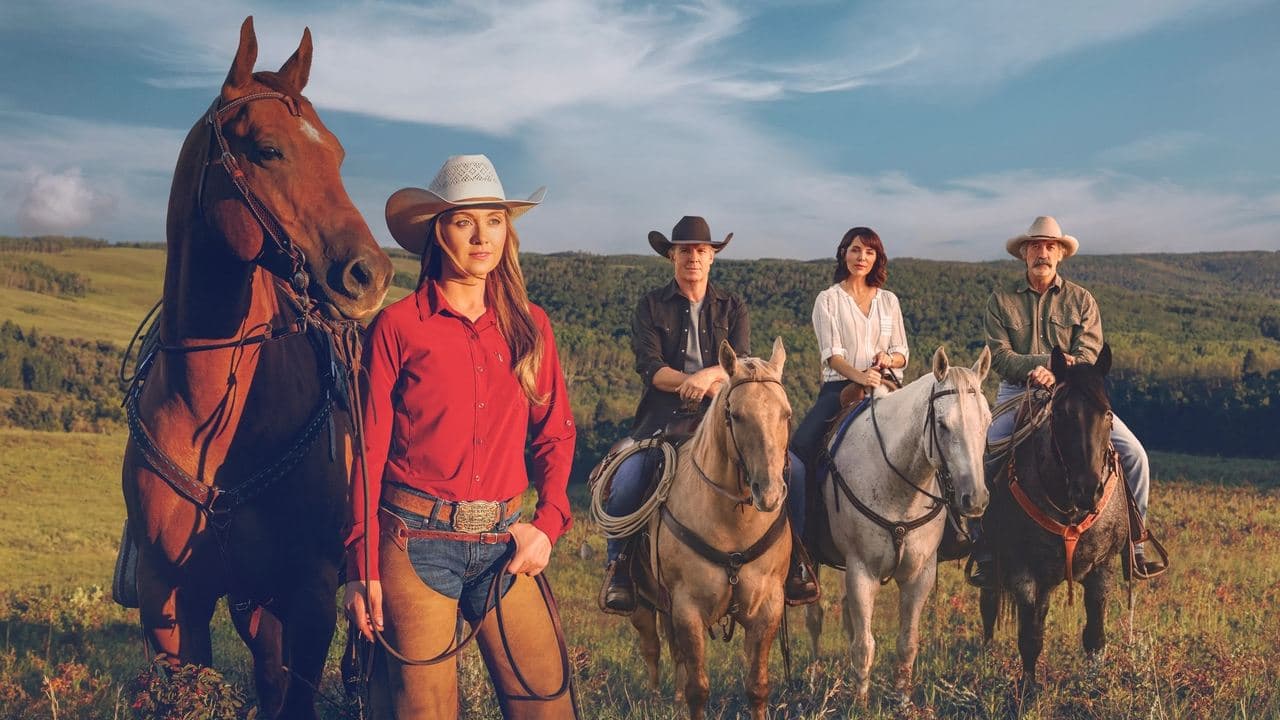 Heartland - Season 4 (Import)