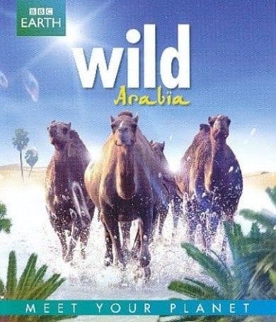 BBC Earth - Wild Arabia (Blu-ray)