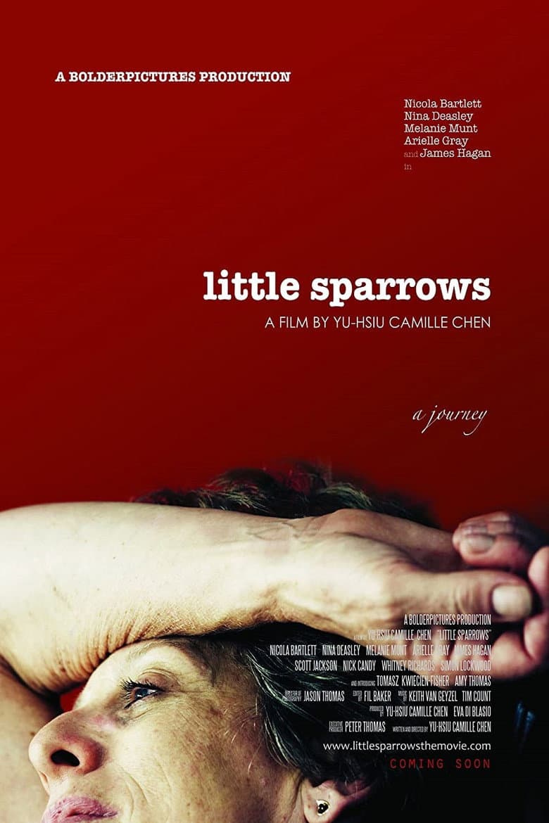 Little Sparrows (DVD)