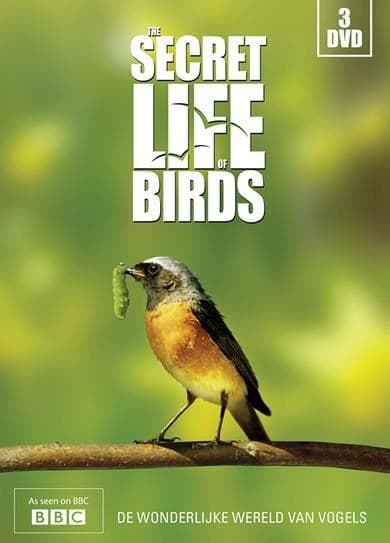 Secret life of birds (DVD)