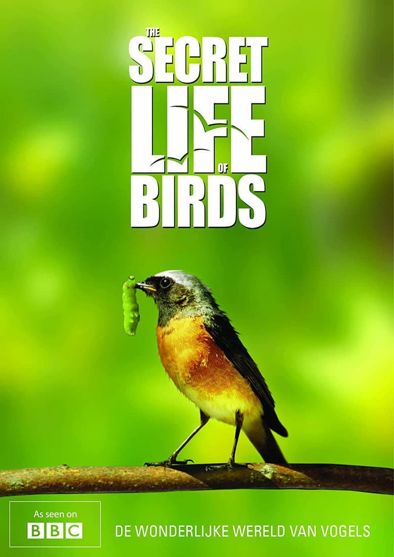 Secret life of birds (DVD)