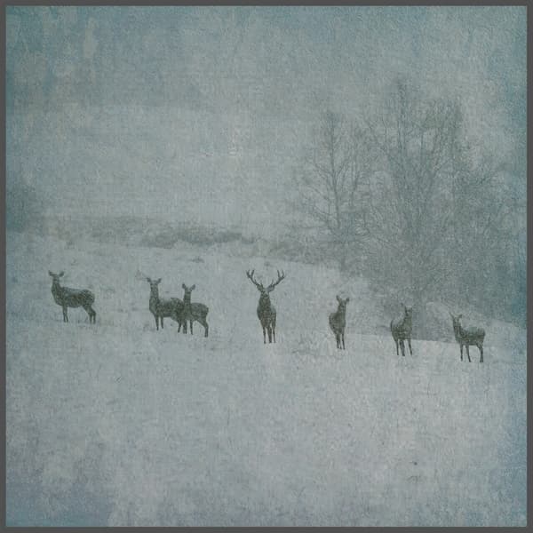 Rauhnacht - Winterstille (LP)