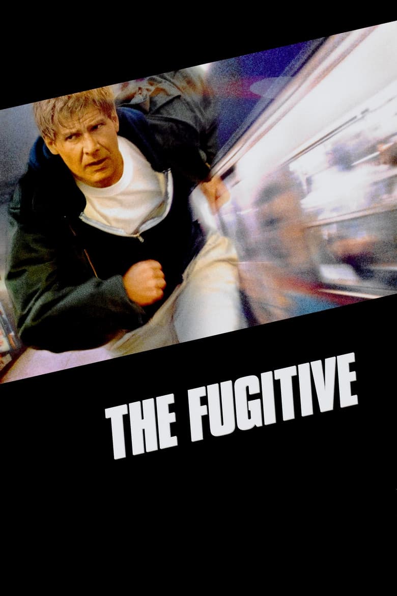 The Fugitive (DVD)