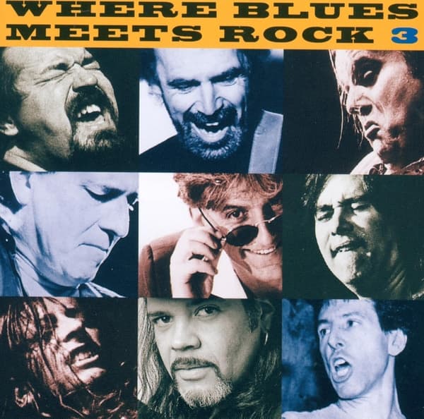 Various Artists - Where Blues Meets Rock 3 (CD)