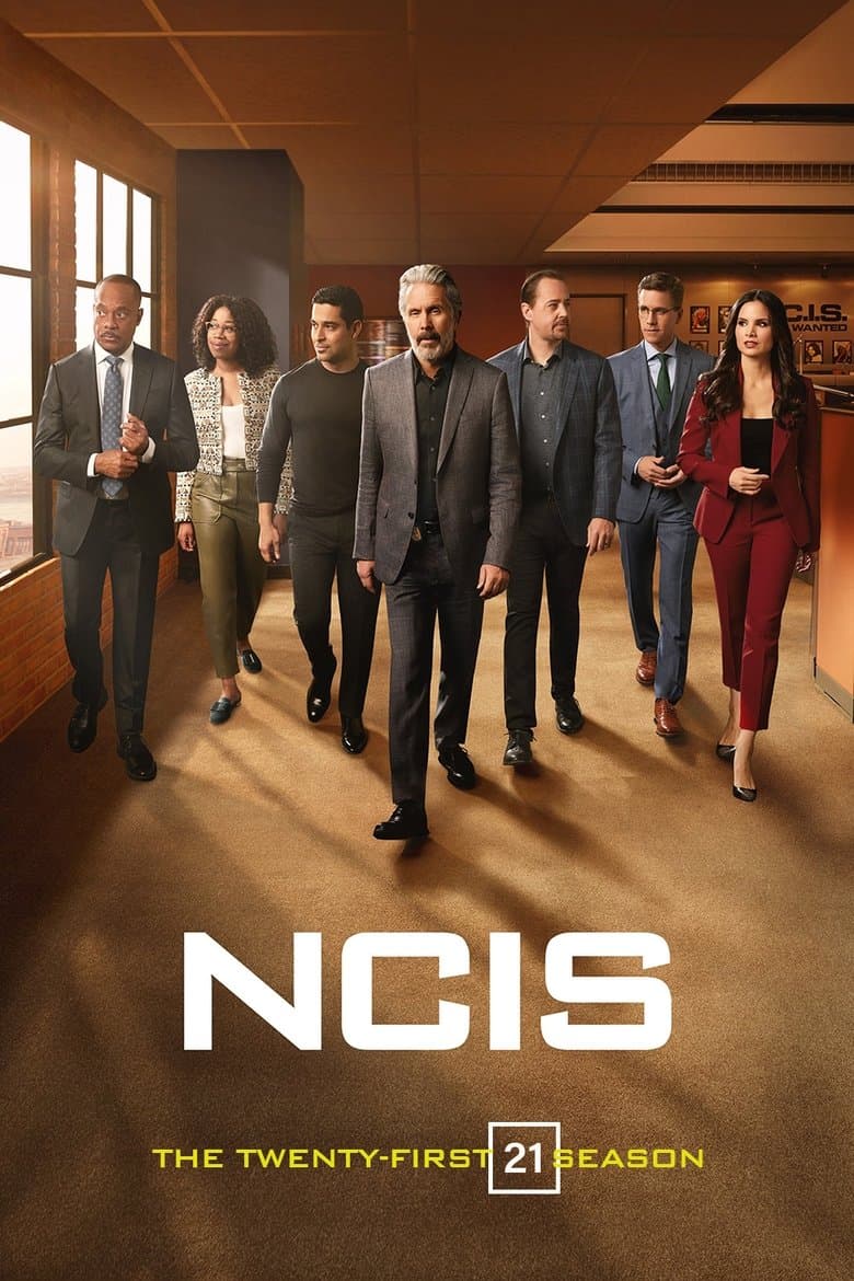 NCIS - Seizoen 21 (DVD)