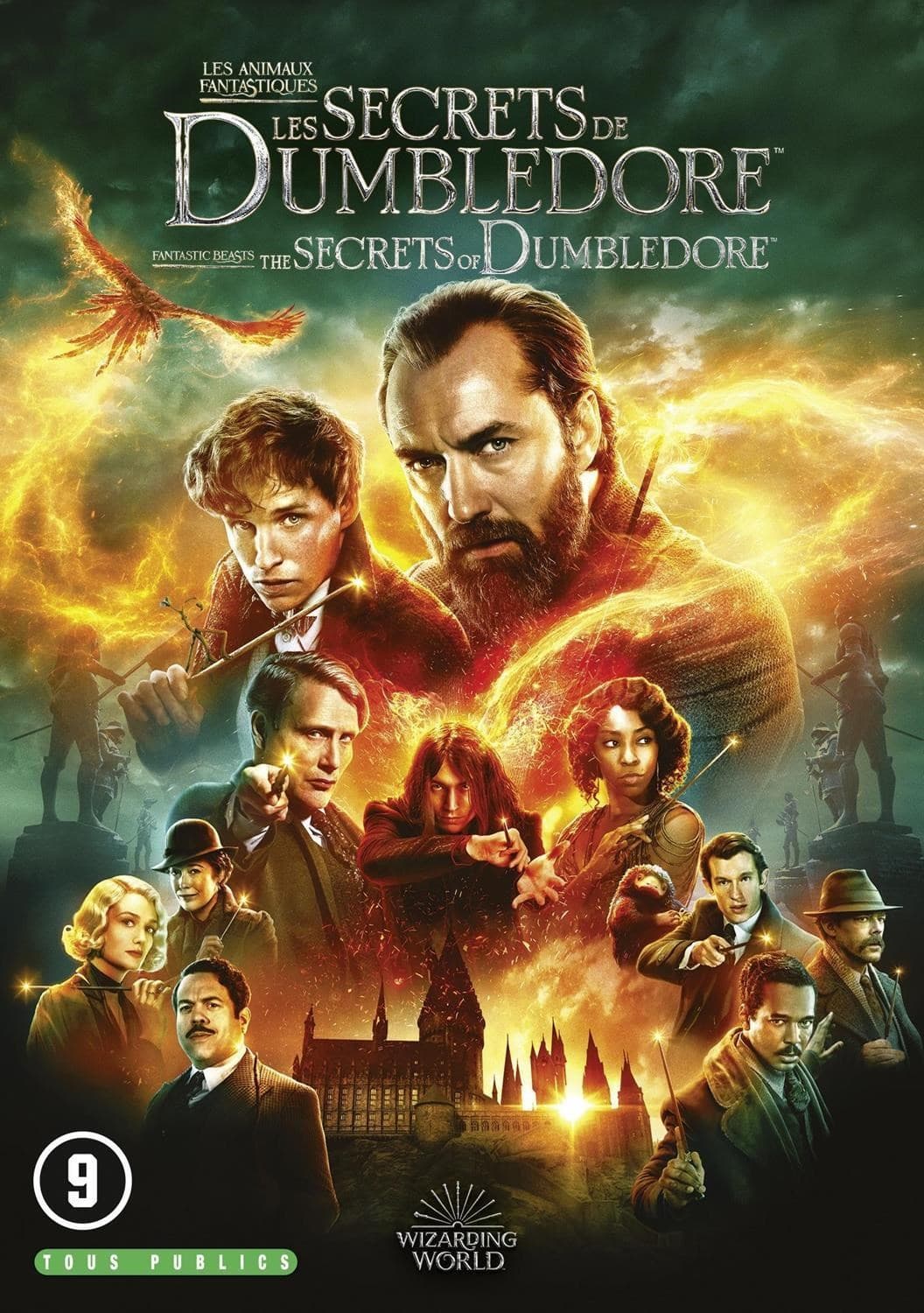 Fantastic Beasts - The Secrets Of Dumbledore (DVD)