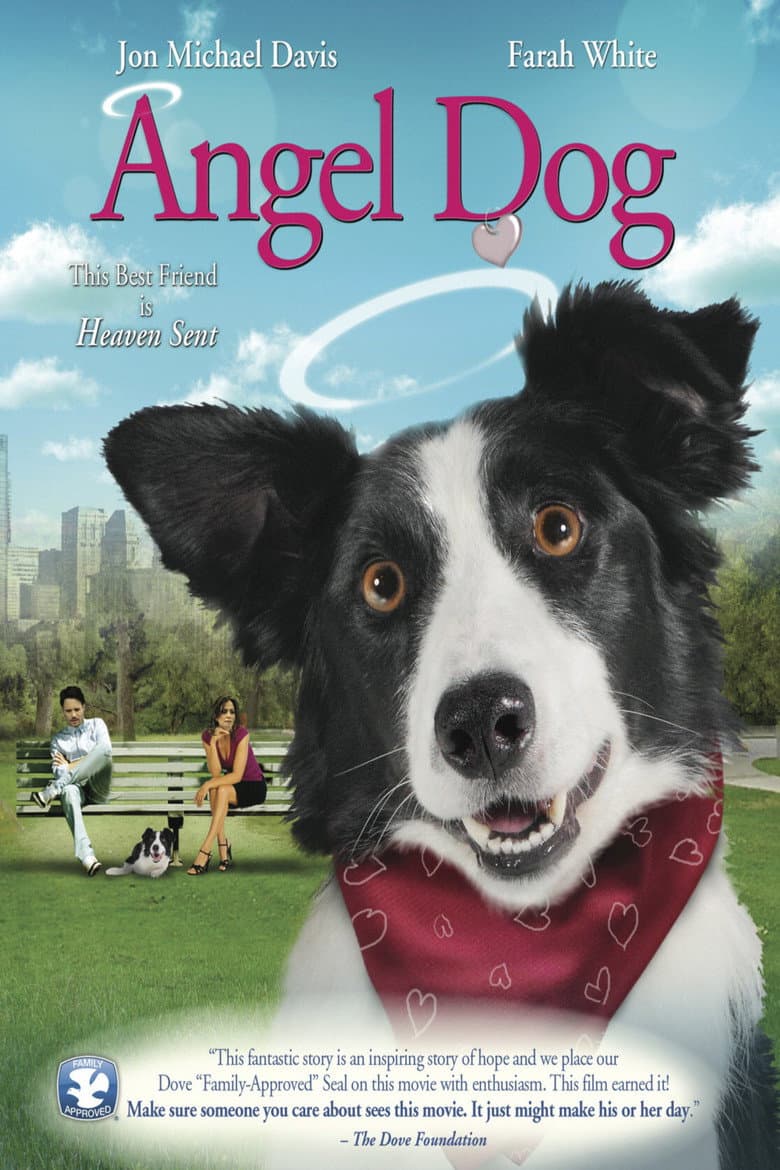 Angel Dog (DVD)