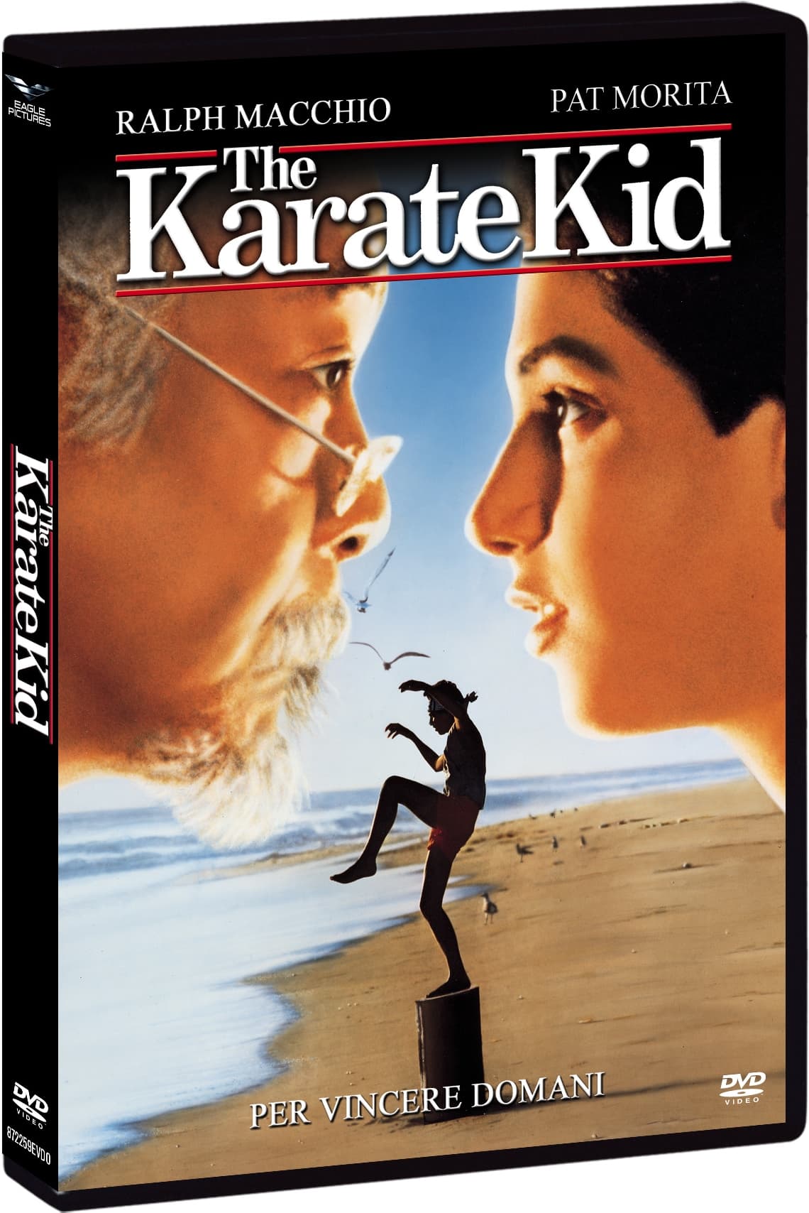 The Karate Kid - Per Vincere Domani