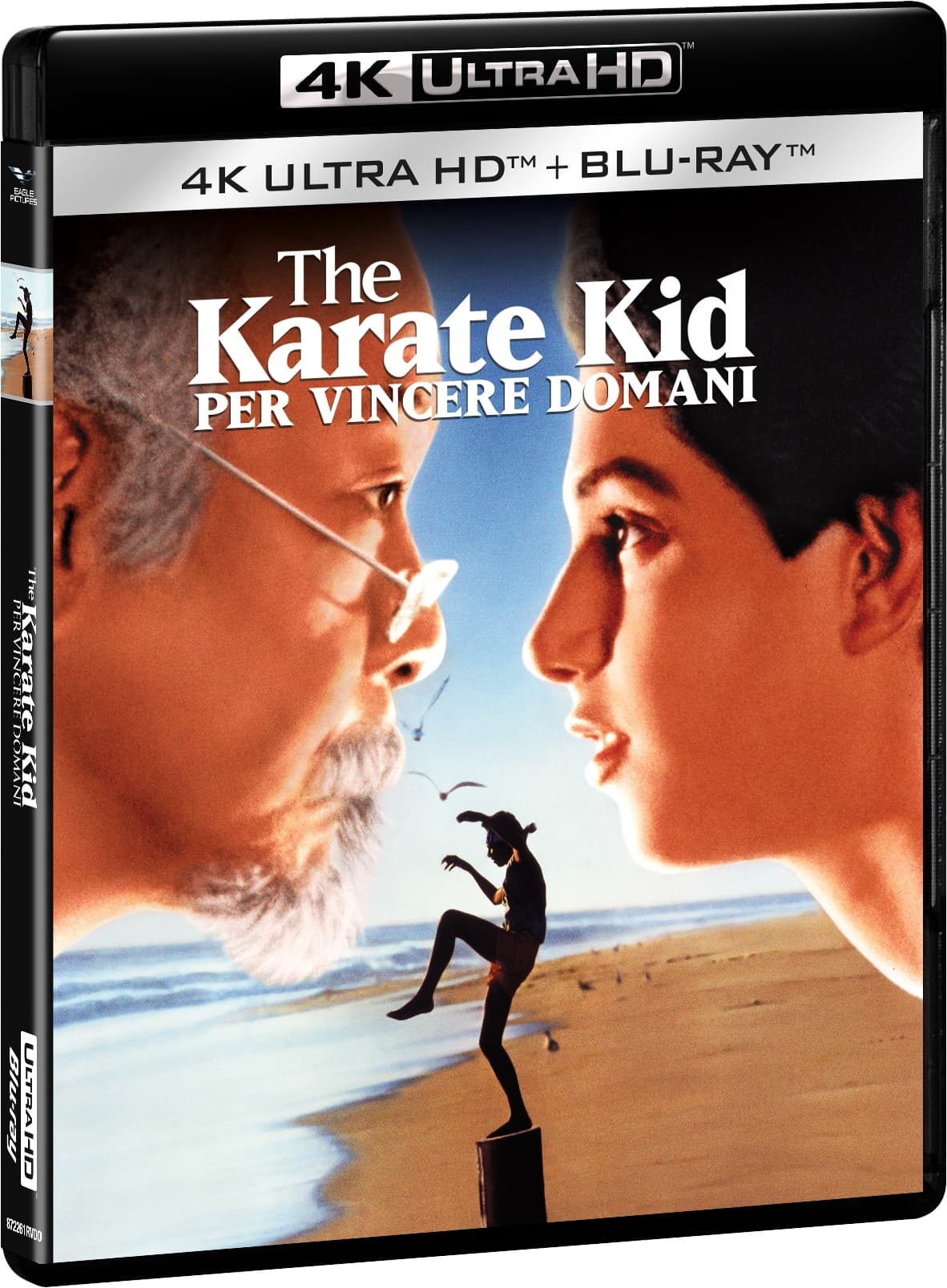 The Karate Kid - Per Vincere Domani (4k+Br)