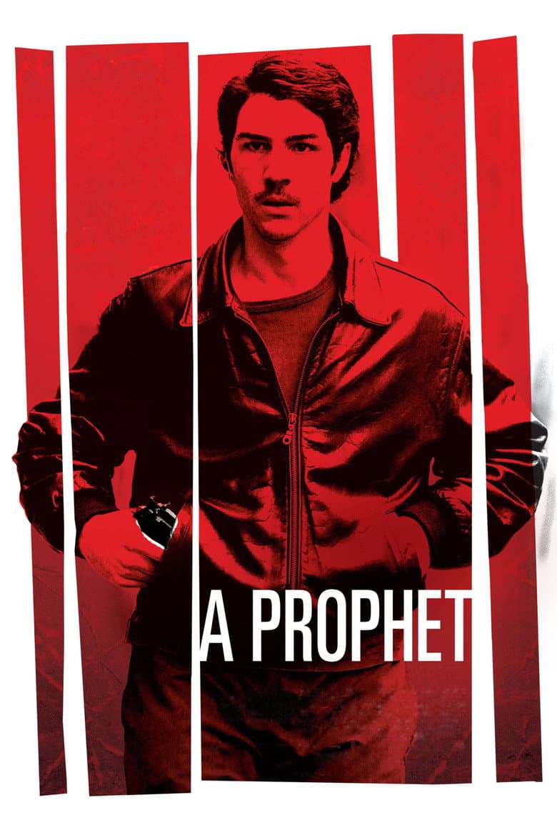 Prophet (Import)