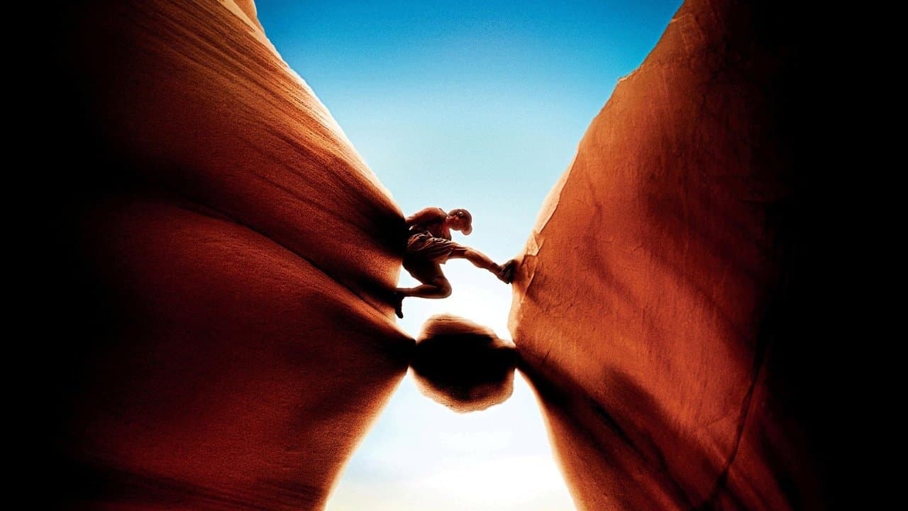 127 Hours (Import)
