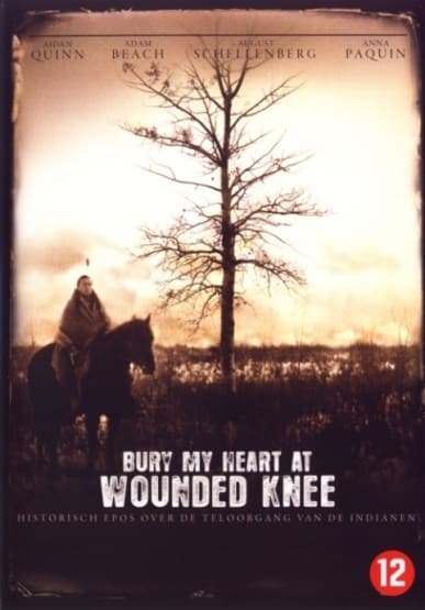 Bury My heart At wounded knee (DVD)