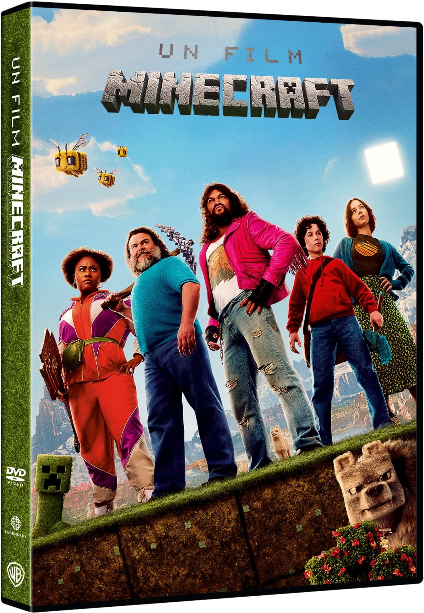 Film Minecraft (Un) (Import)