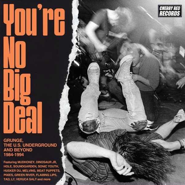 Various Artists - You're No Big Deal: Grunge, The U.S. Underground And Beyond 1984-1994 (4 CD)