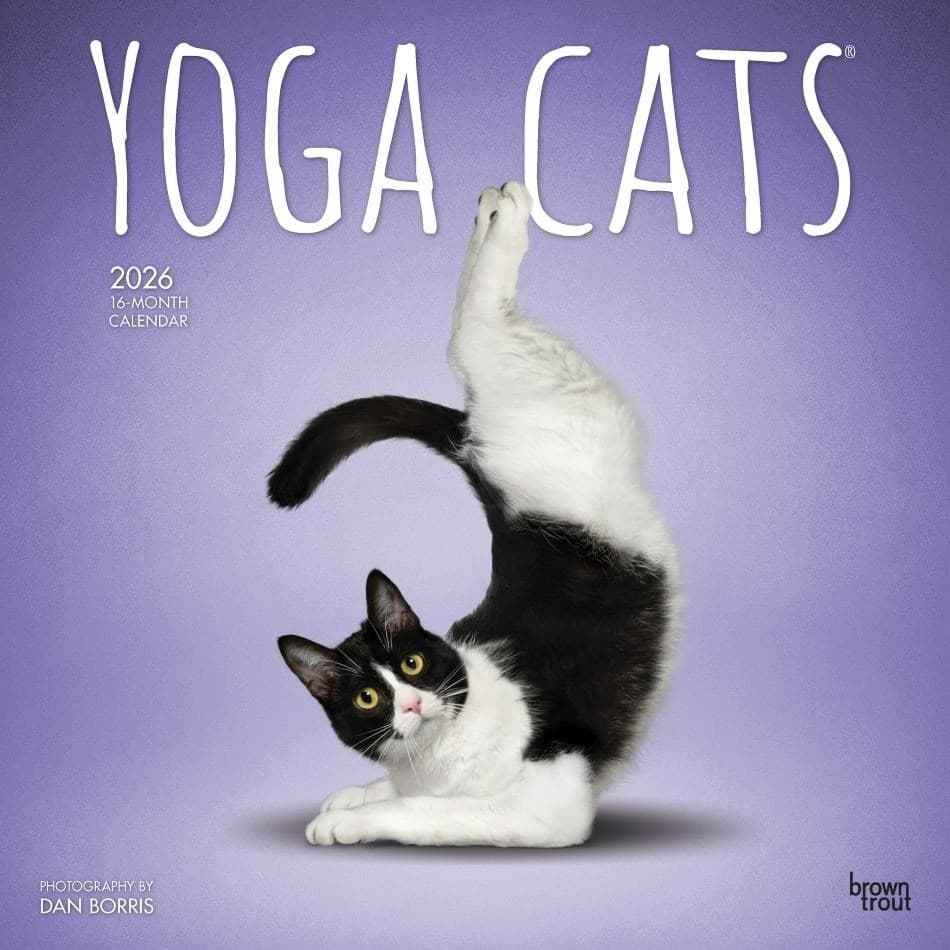 Kalender 2026 - Yoga Cats bt