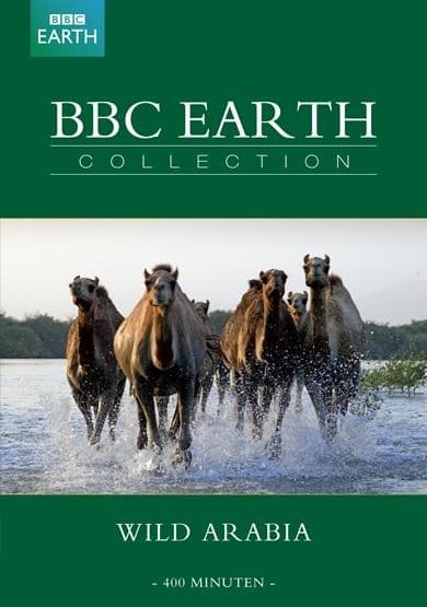 BBC Earth Collection - Wild Arabia (DVD)