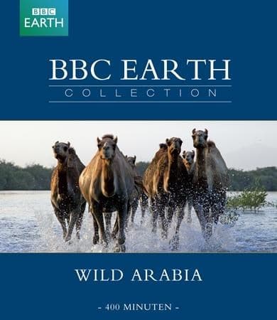 BBC Earth Collection - Wild Arabia (Blu-ray)