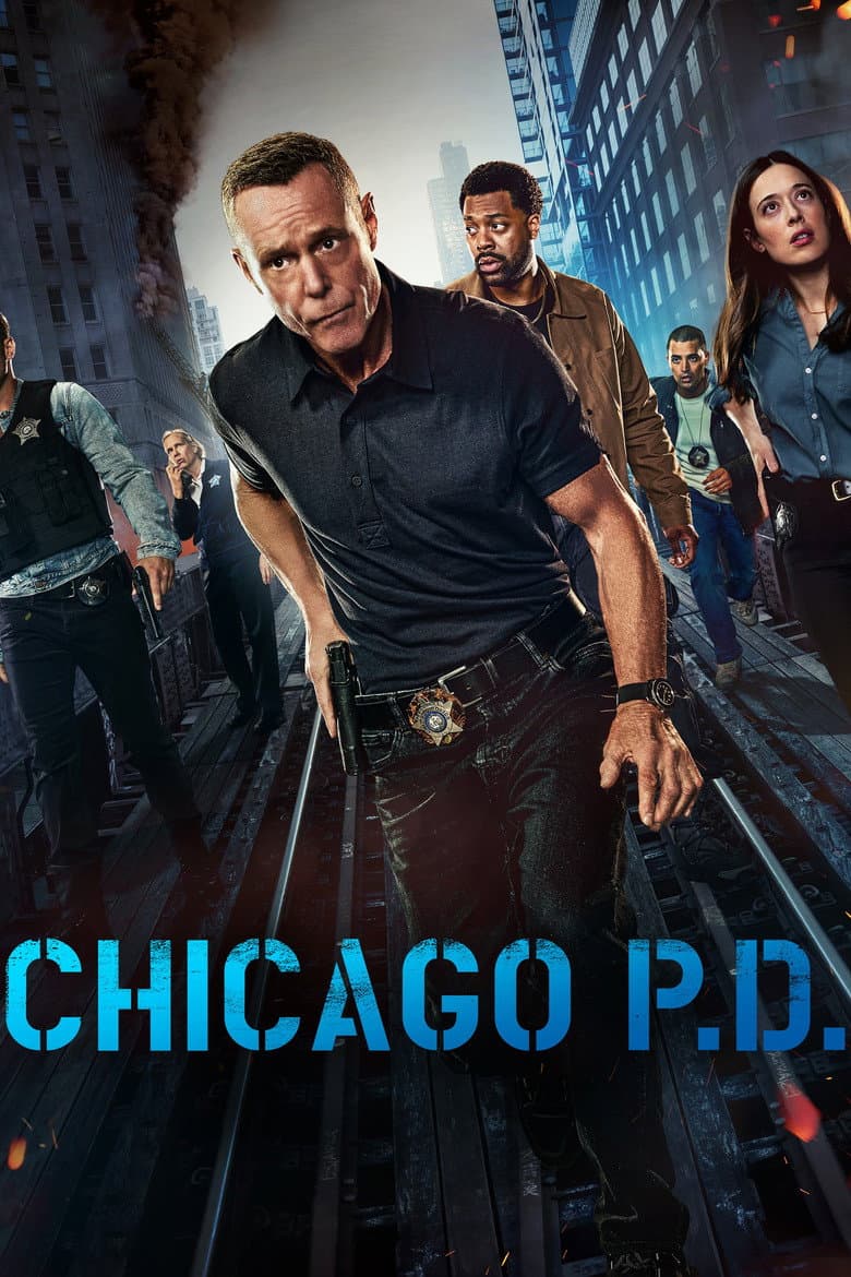 Chicago P.D. - Season 12 (Import)