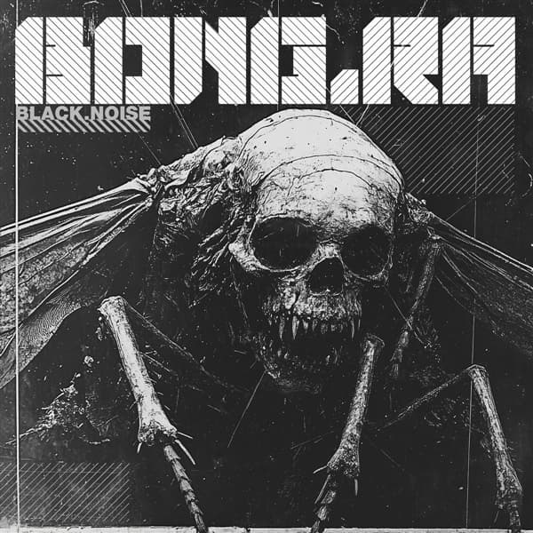 Bong-Ra - Black.Noise (LP)
