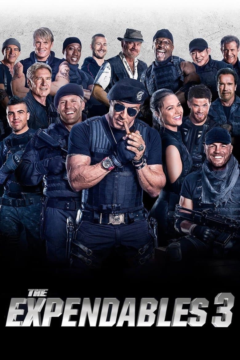 Expendables 3 (DVD) (Special Extended Edition)