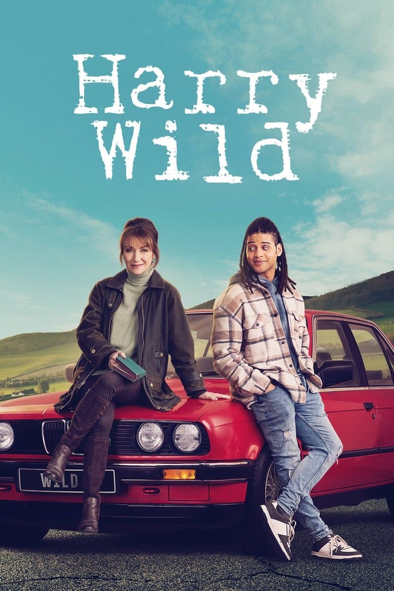 harry wild - series 1-4 (Import)