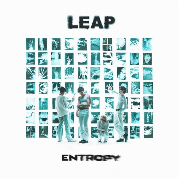 Leap - Entropy (LP)