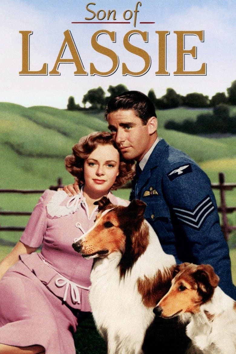 Son Of Lassie
