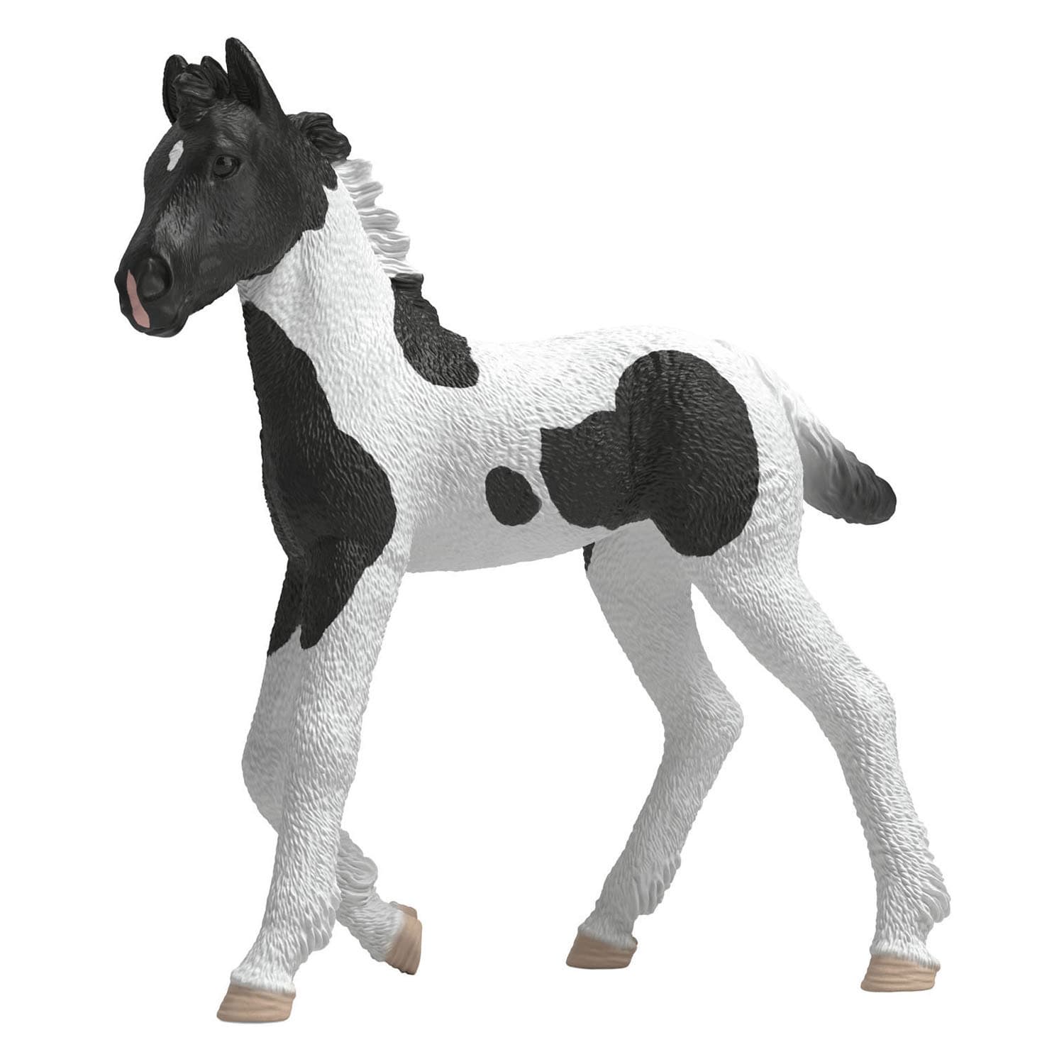 schleich HORSE CLUB Verzamelbaar Veulen Rocky 81481