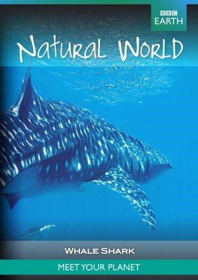 BBC Earth - Natural World Natural World Collection Whale Shark (DVD)